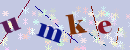 验证码
